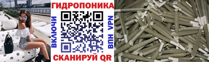 дарнет шоп  Устюжна  МАРИХУАНА OG Kush 